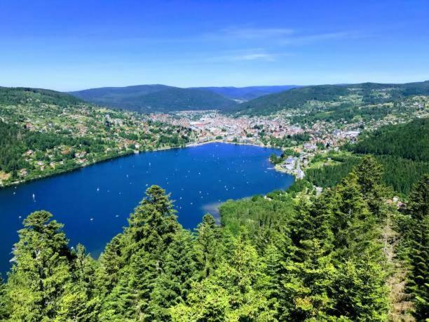 Appartement Les Balcons De La Chalande Le Tholy Gerardmer, Jardin,Balcon, Terrasse, Εξωτερικό φωτογραφία