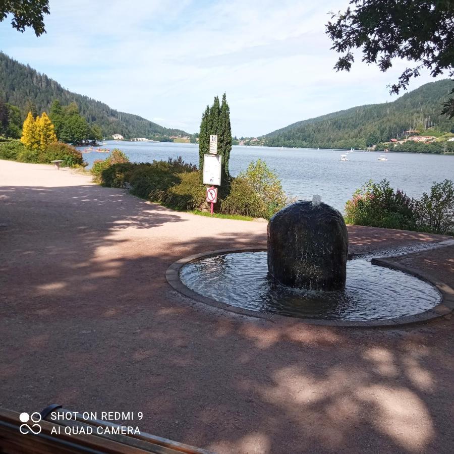 Appartement Les Balcons De La Chalande Le Tholy Gerardmer, Jardin,Balcon, Terrasse, Εξωτερικό φωτογραφία